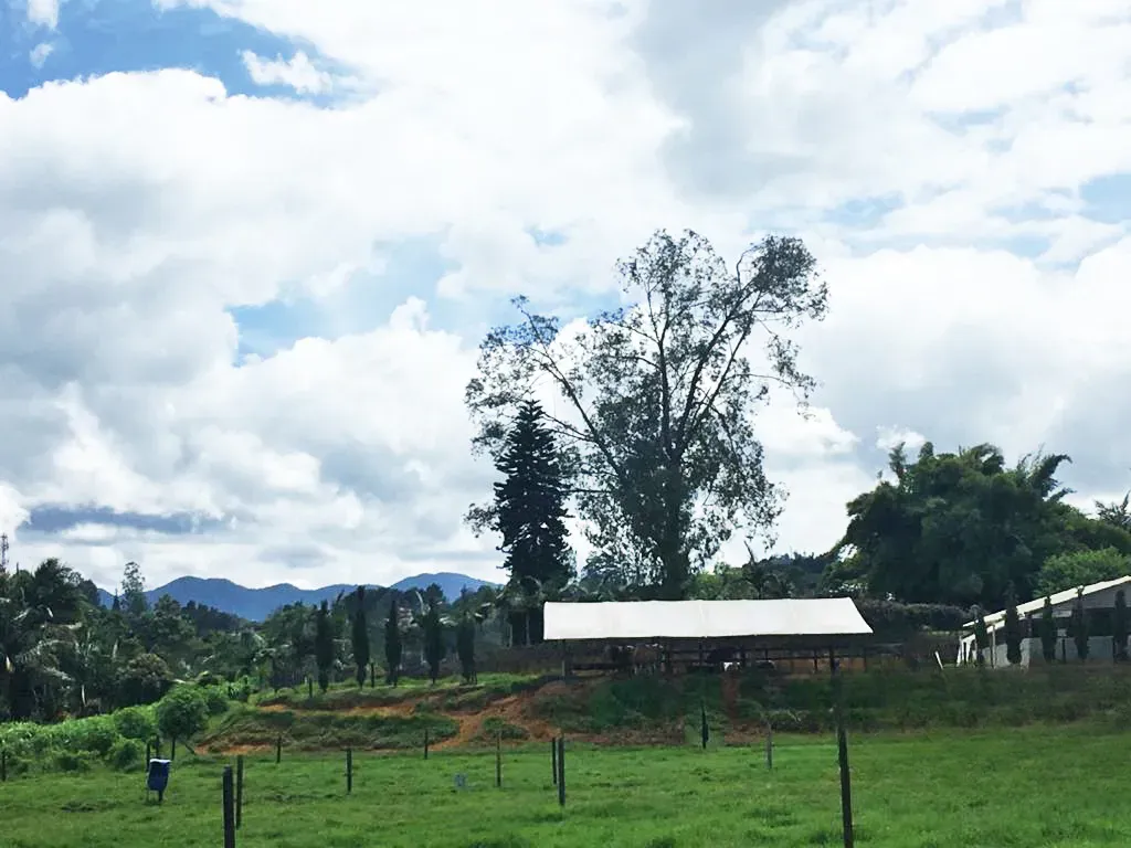 Land in Cabeceras de llanogrande for Sale - 3
