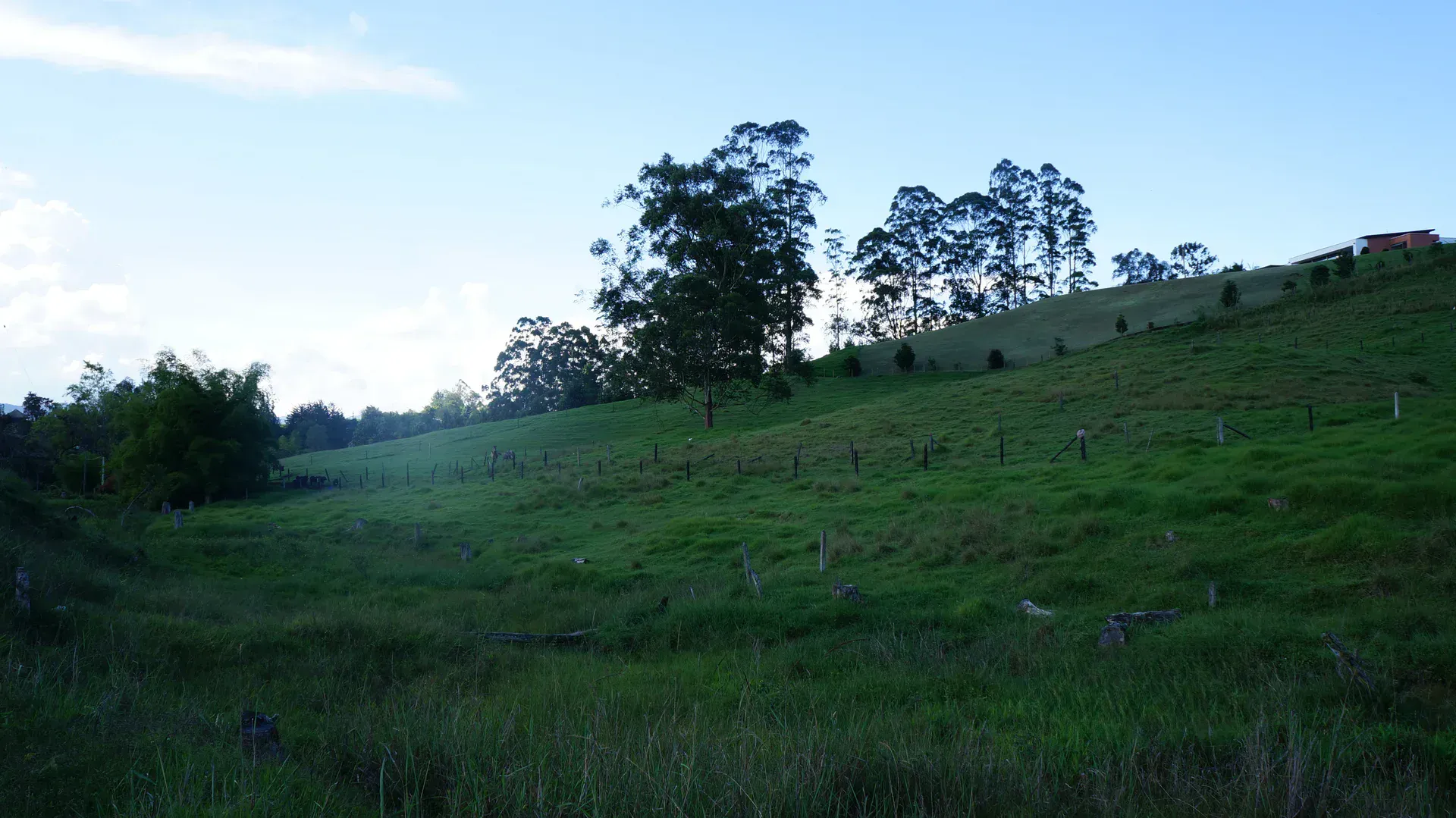 Land in El capiro for Sale - 2