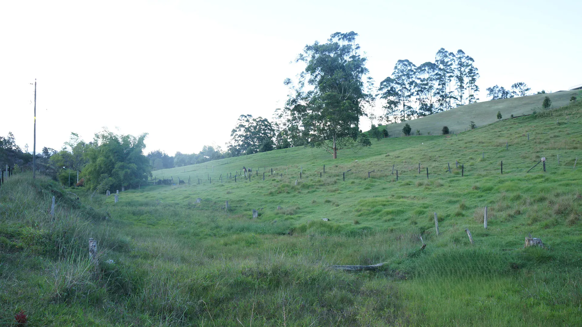 Land in El capiro for Sale - 4
