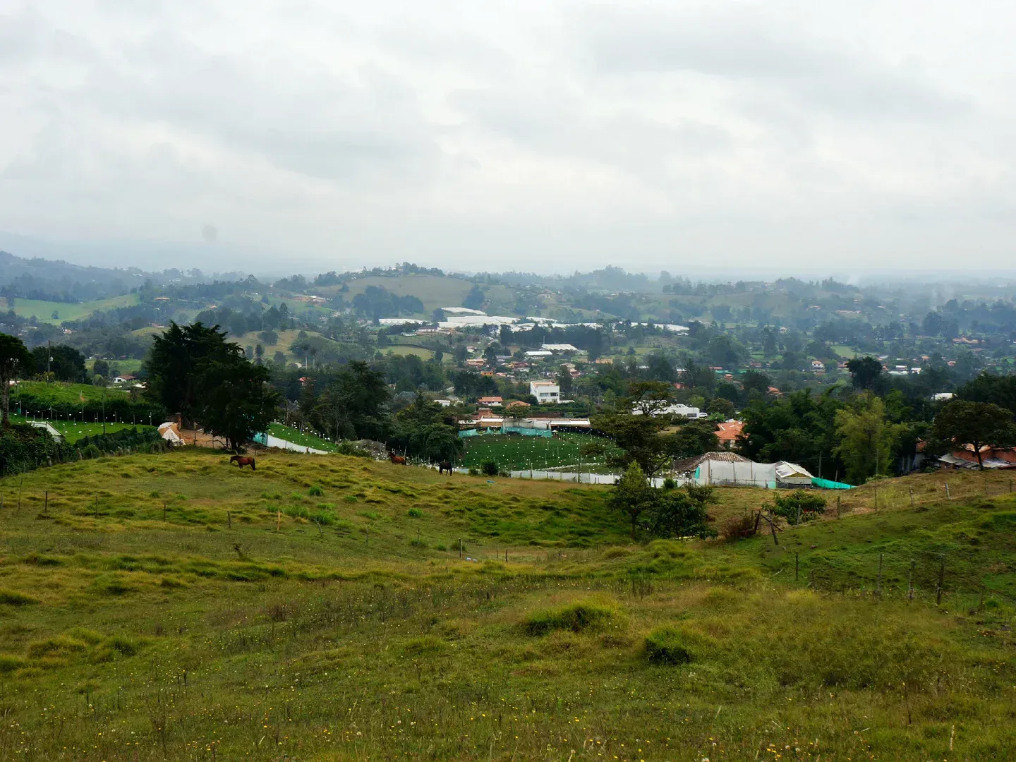Land in Pontezuela for Sale