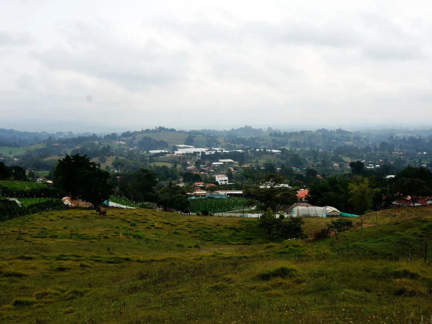 Land in Pontezuela for Sale - 2