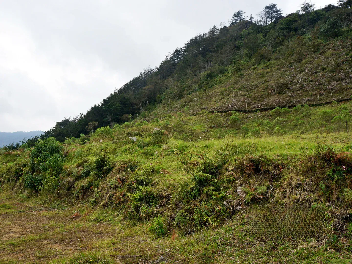 Land in Pontezuela for Sale - 3