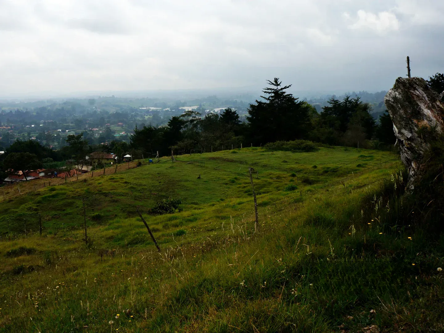 Land in Pontezuela for Sale - 4