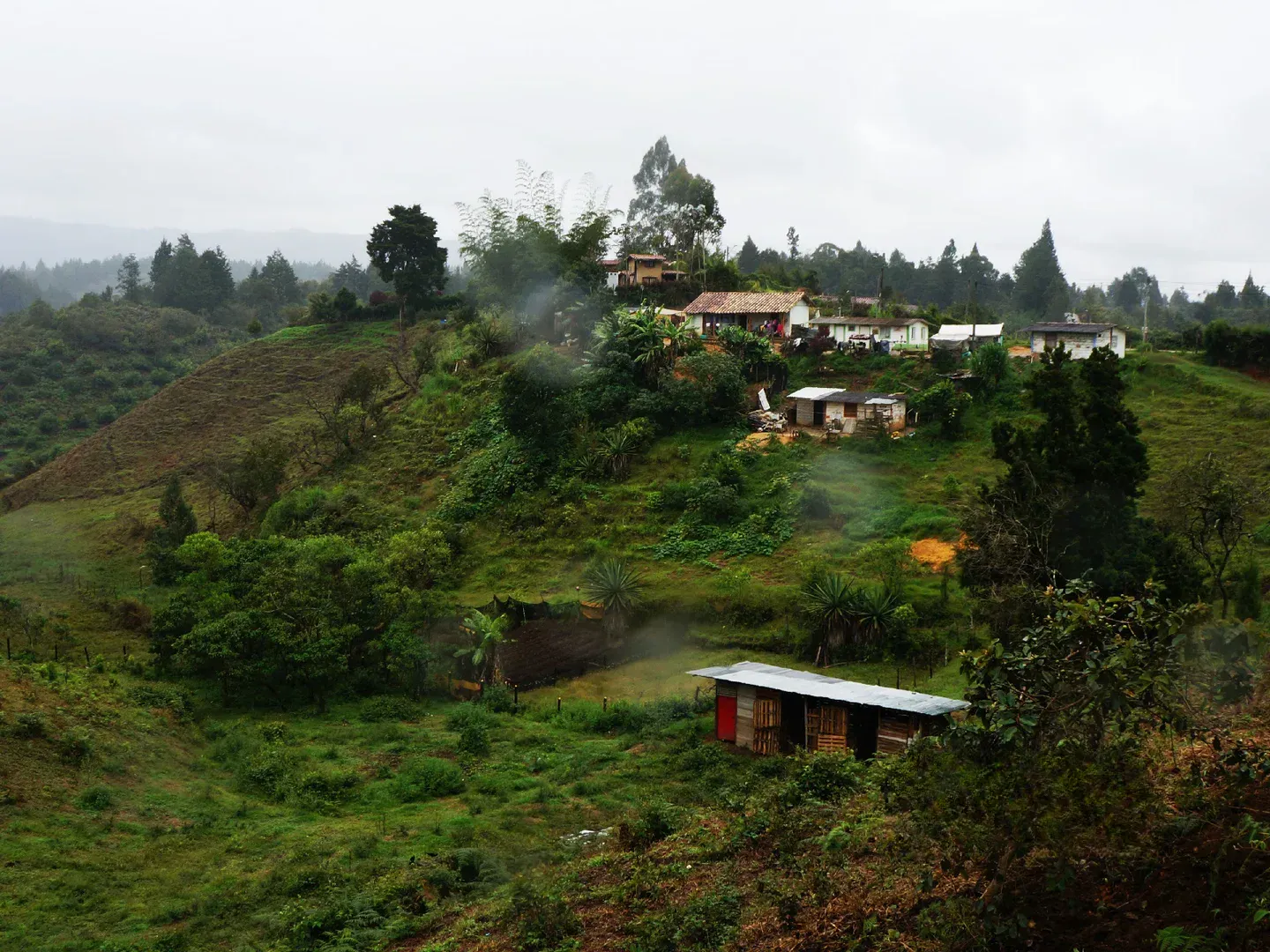 Land in El porvenir for Sale - 2