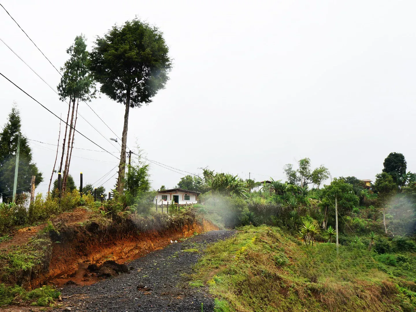 Land in El porvenir for Sale - 3