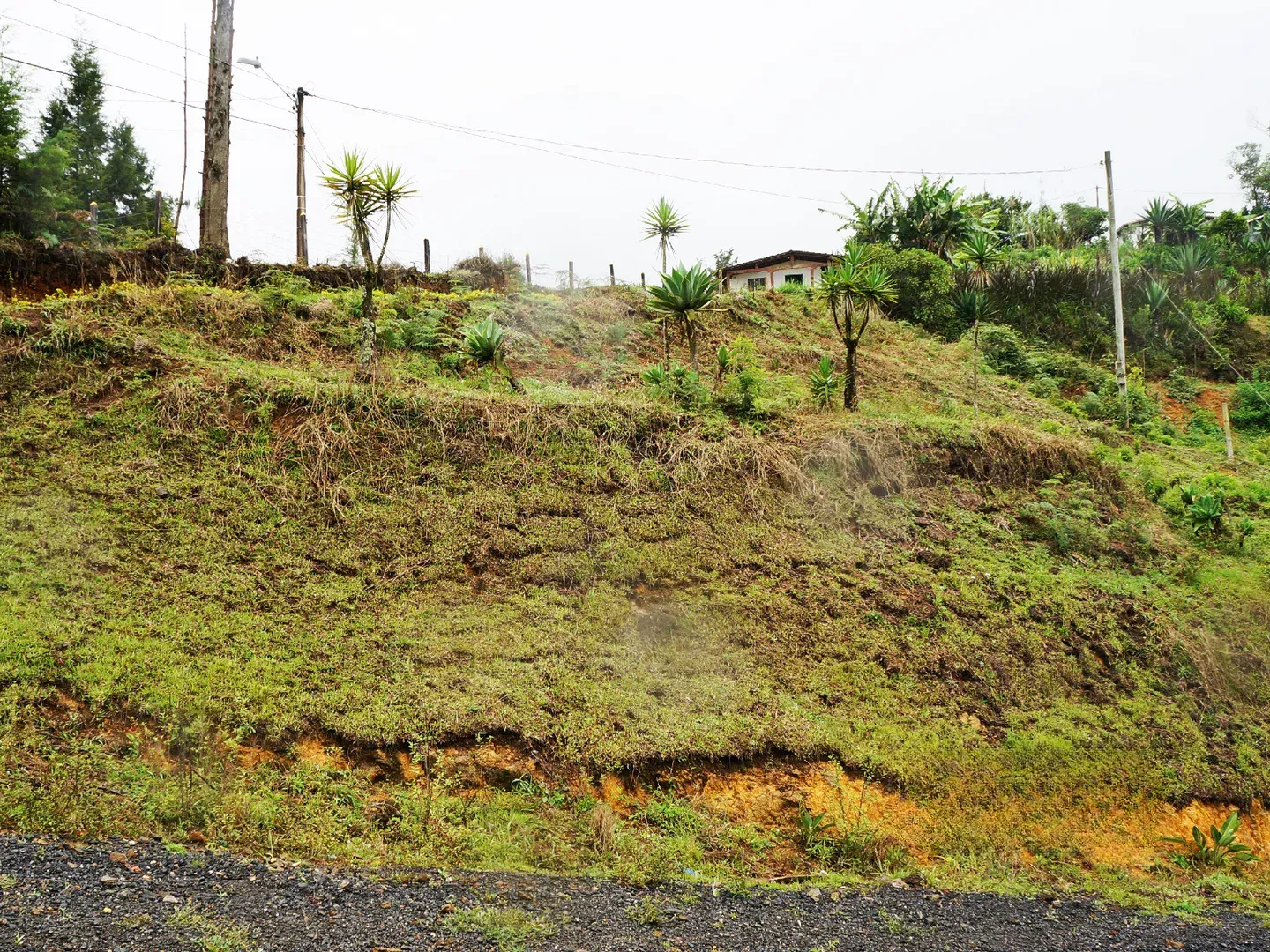 Land in El porvenir for Sale - 4
