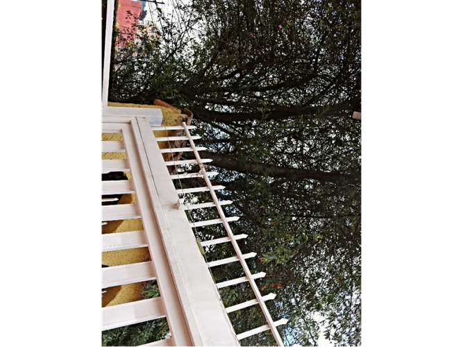 Casa en venta en Santa Ana Oriental, Bogotá · foto 19 de 19