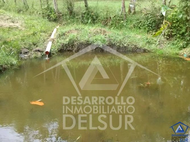 Finca en venta en Guarne, 7268 m² · foto 3 de 20