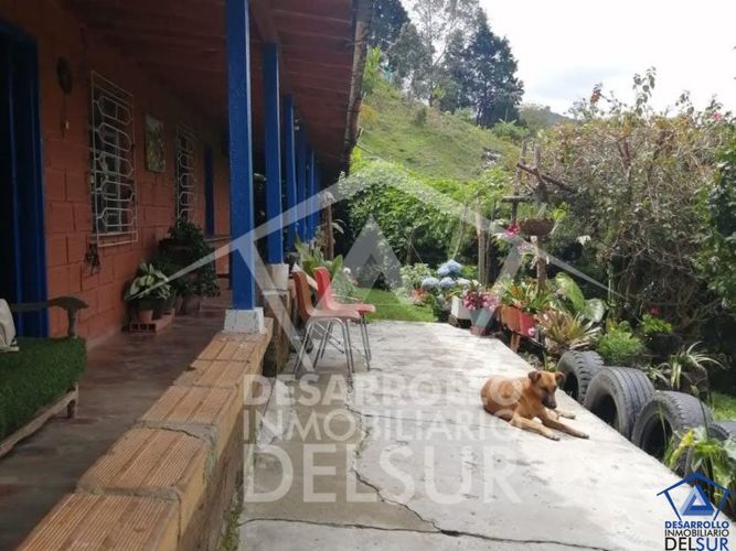 Finca en venta en Guarne, 7268 m² · foto 16 de 20