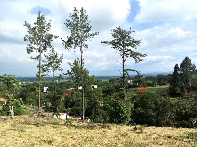 Lote en venta en Porerito, Jamundí, 3000 m² · foto 2 de 16
