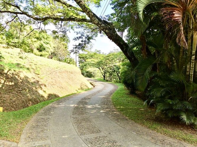 Lote en venta en Porerito, Jamundí, 3000 m² · foto 3 de 16