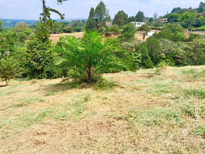 Lote en venta en Porerito, Jamundí, 3000 m² · foto 6 de 16