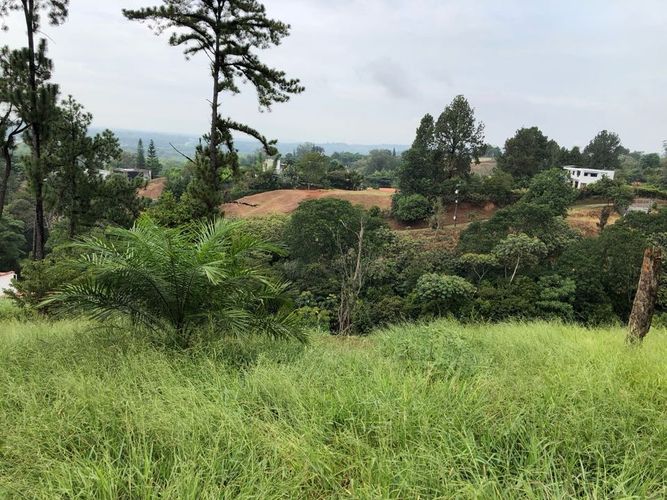 Lote en venta en Porerito, Jamundí, 3000 m² · foto 11 de 16