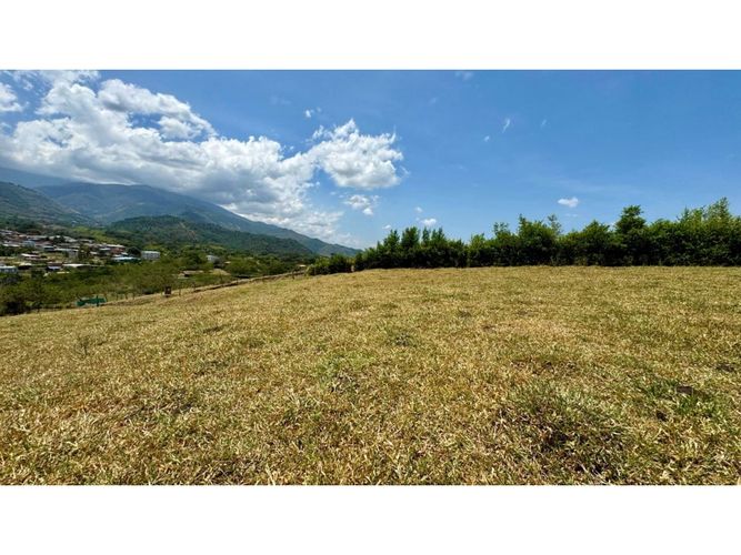 Lote en venta en Tablones, Palmira, 3155 m² · foto 7 de 14
