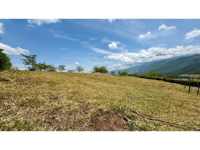 Lote en venta en Tablones, Palmira, 3155 m² · foto 8 de 14