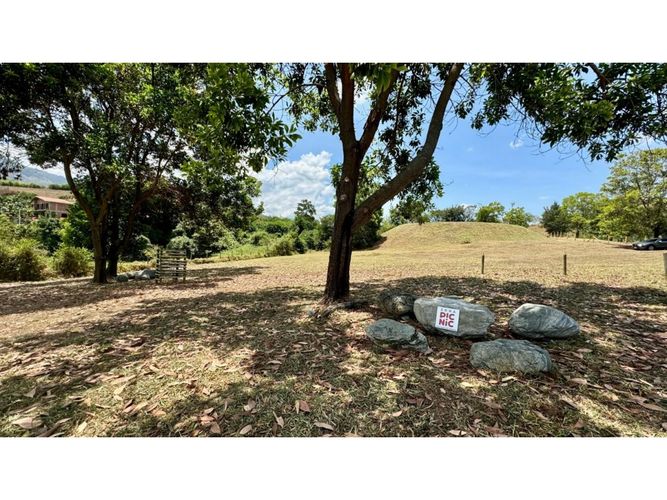 Lote en venta en Tablones, Palmira, 3155 m² · foto 11 de 14