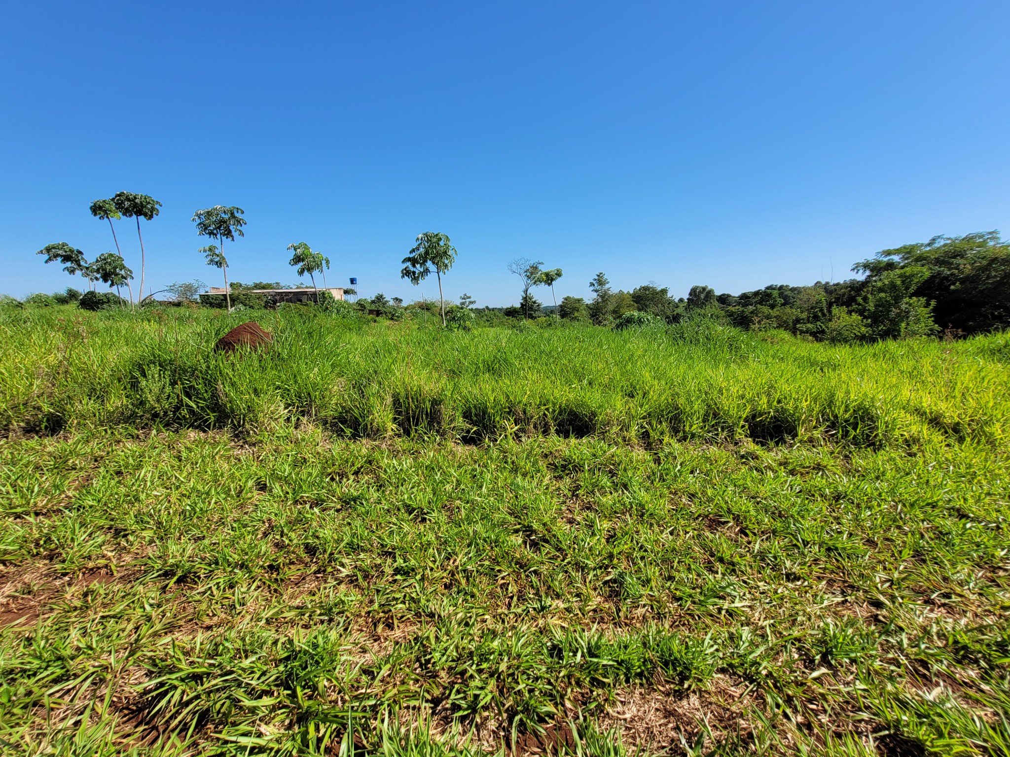 Terreno en venta en Ciudad del Este — foto 3