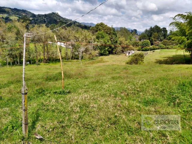 Land in El porvenir (2533 m²) for Sale - 4