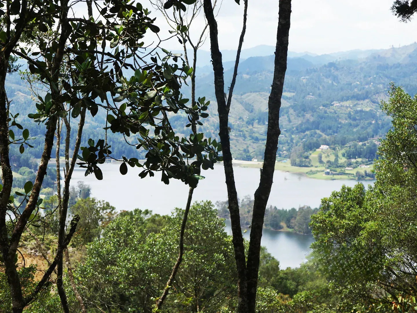 Land in Los salados for Sale