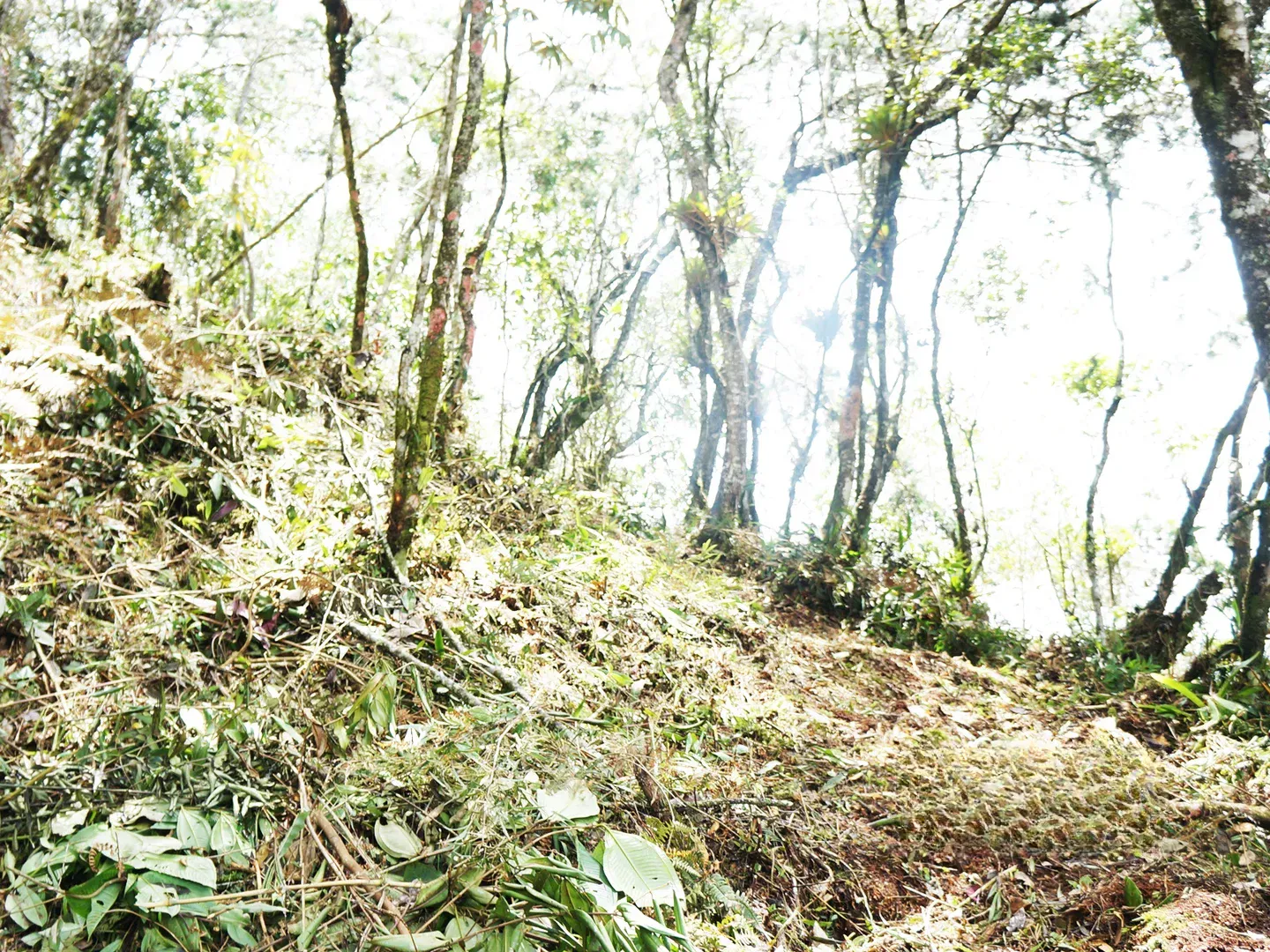 Land in Los salados for Sale - 2