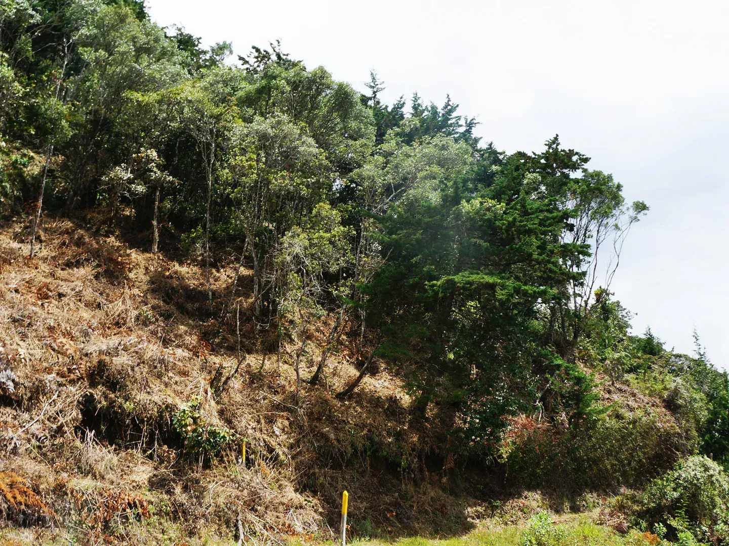 Land in Los salados for Sale - 3