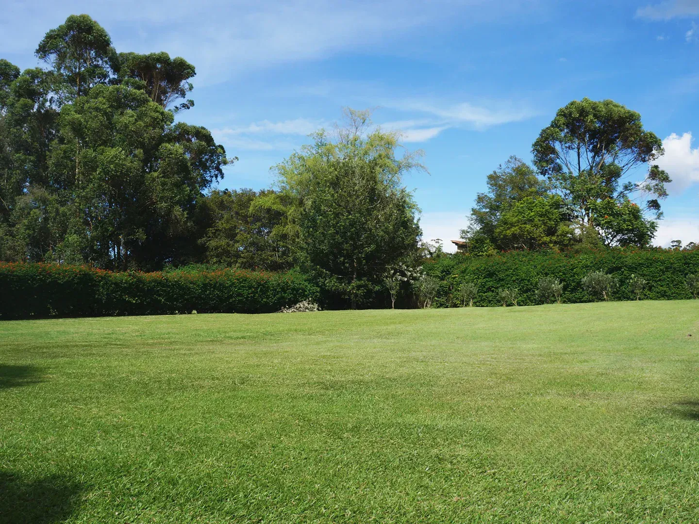 Land in Llano Grande (2254 m²) for Sale - 3