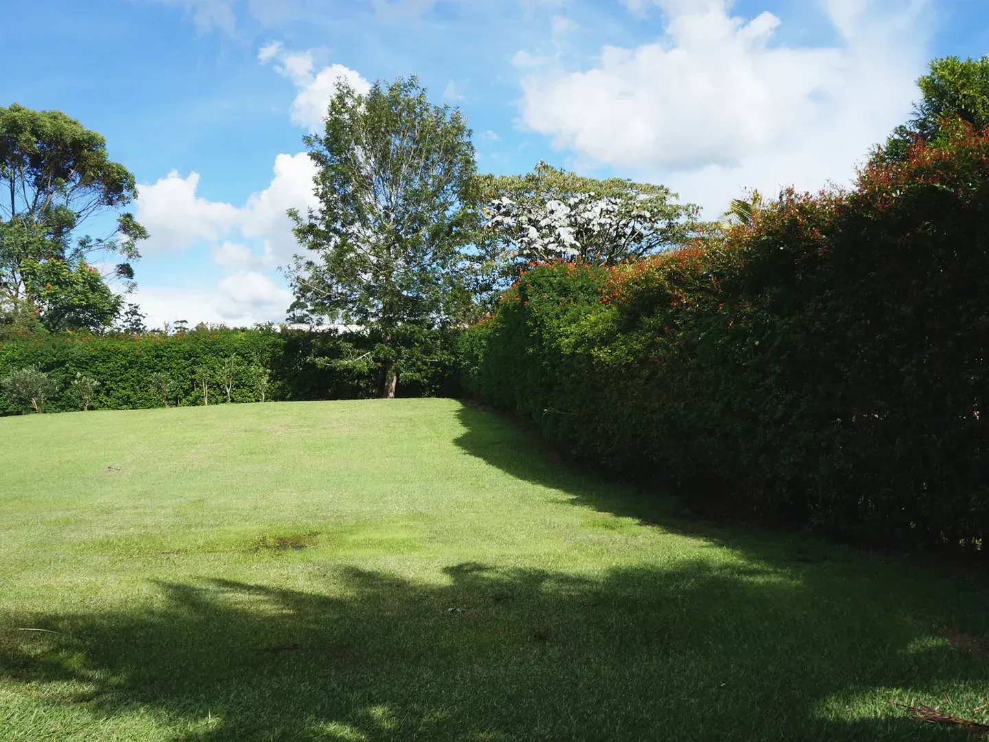 Land in Llano Grande (2254 m²) for Sale - 4