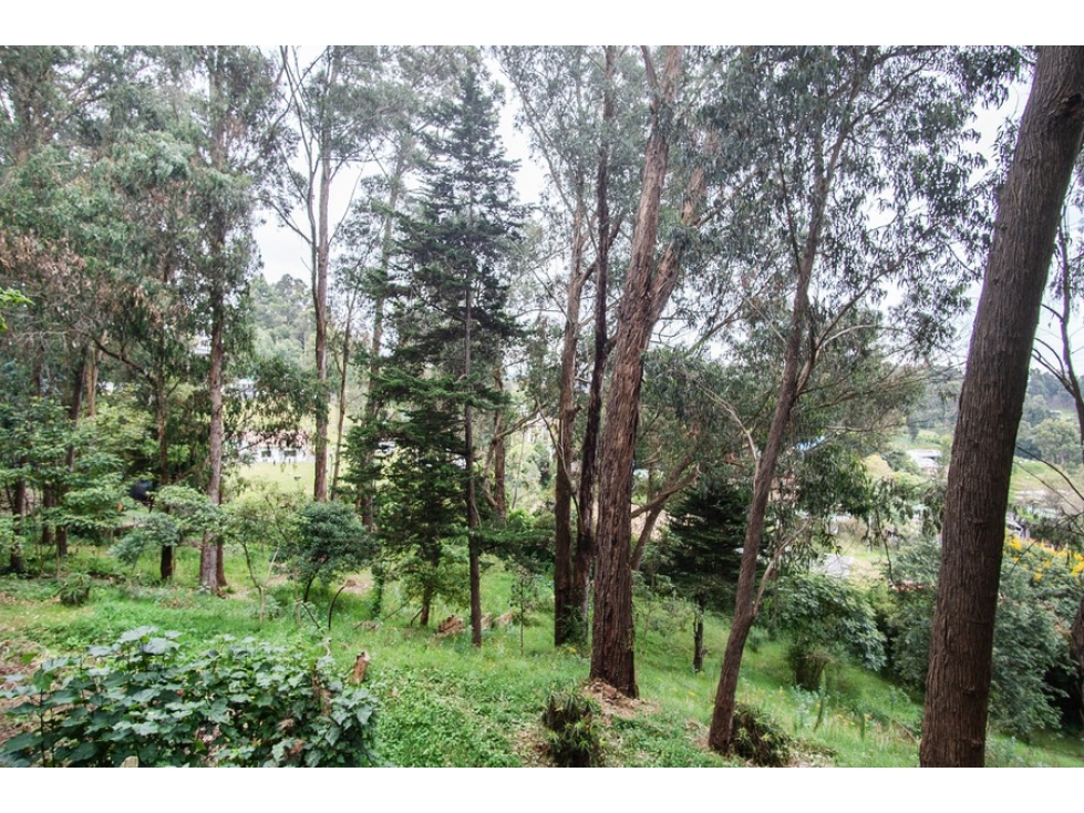Casa en arriendo en Vereda Suba Naranjos, Bogotá · foto 22 de 24
