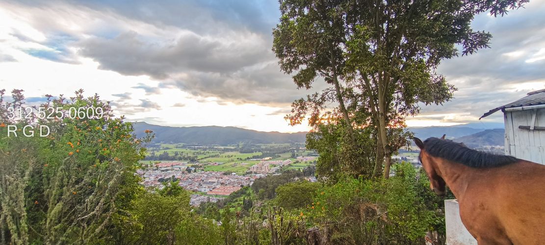 Lote en venta en Centro, Sopó, 1467 m² · foto 15 de 19