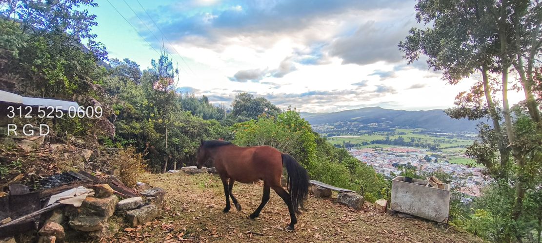 Lote en venta en Centro, Sopó, 1467 m² · foto 17 de 19