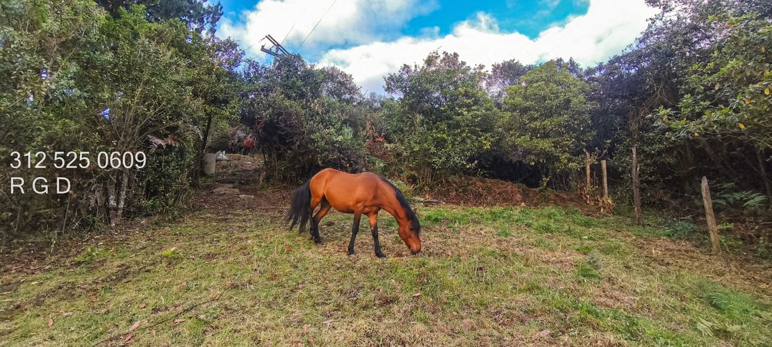 Lote en venta en Centro, Sopó, 1467 m² · foto 19 de 19