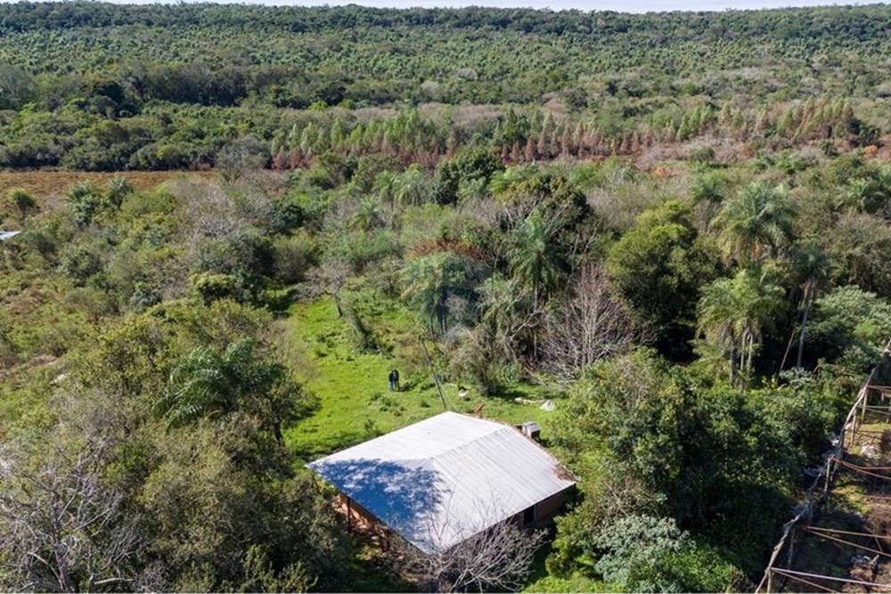 ¡Inversión Estratégica en Piribebuy! 43 Hectáreas de Productividad y Naturaleza en Kaundy, Corredor Piribebuy-Eusebio Ayala. — foto 2