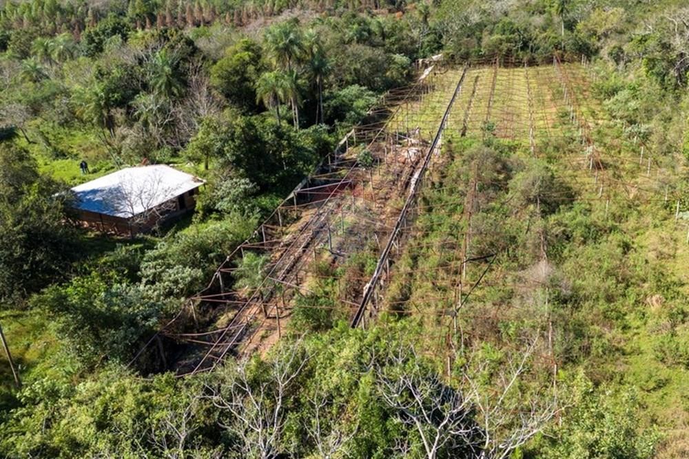 ¡Inversión Estratégica en Piribebuy! 43 Hectáreas de Productividad y Naturaleza en Kaundy, Corredor Piribebuy-Eusebio Ayala. — foto 3