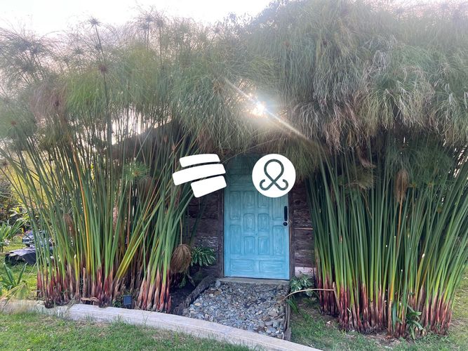 Finca en venta en El Carmen de Viboral, 3529 m² · foto 9 de 20