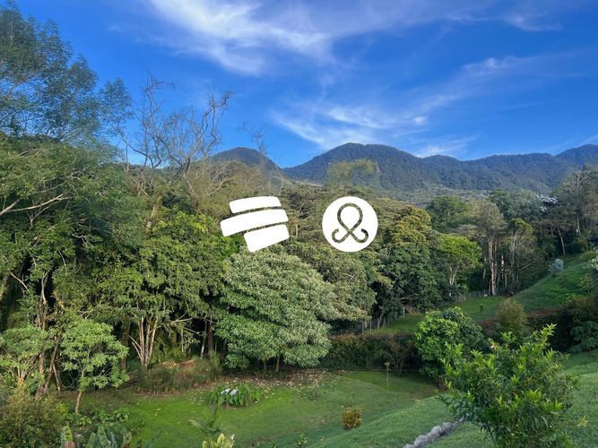 Finca en venta en El Carmen de Viboral, 3529 m² · foto 11 de 20