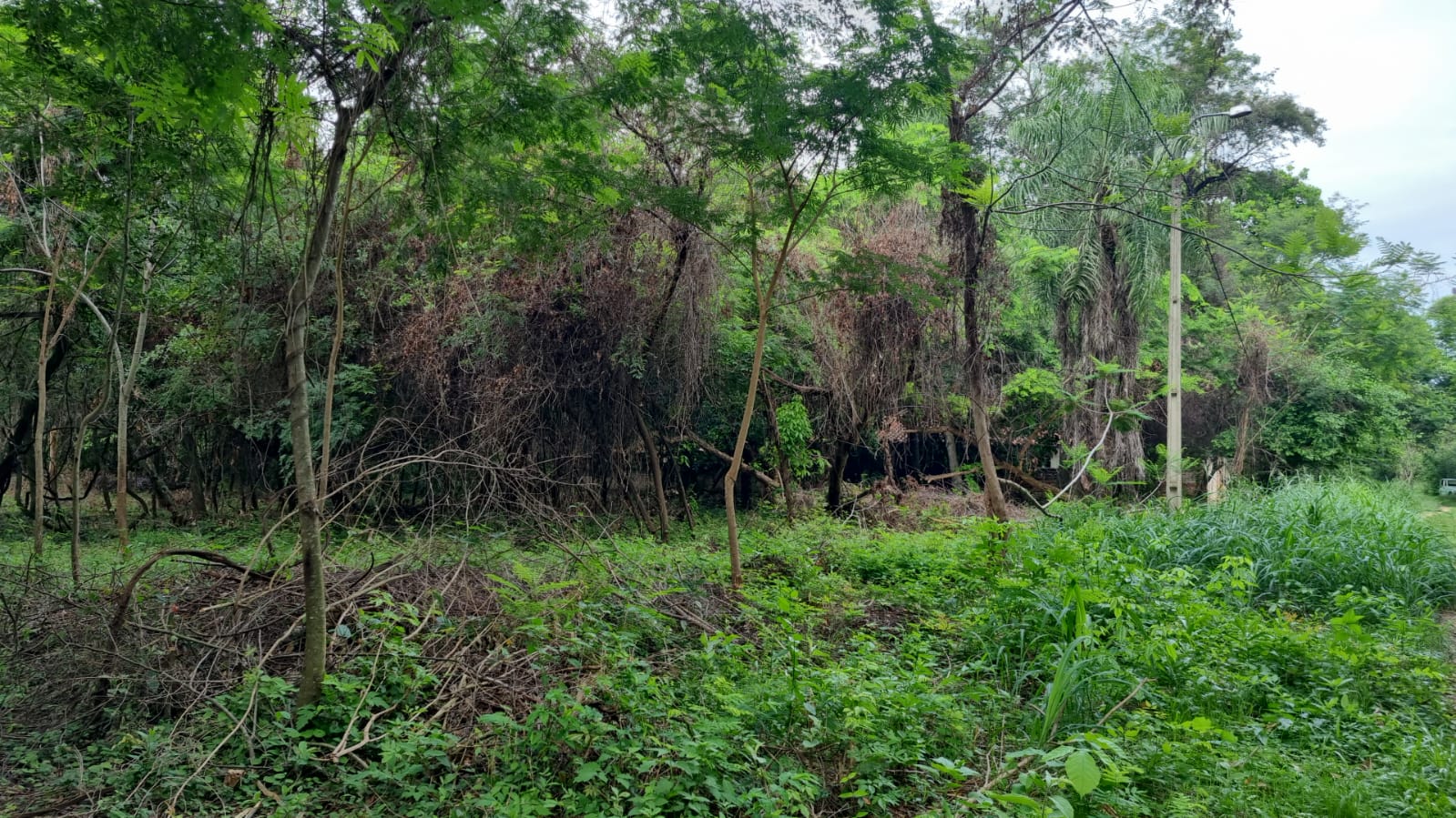Vendo terrenos en Aregua! — foto 2