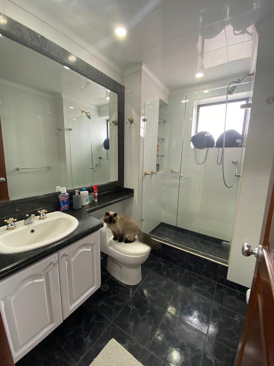Apartamento en venta en Monte Arroyo, Bogotá · foto 10 de 24