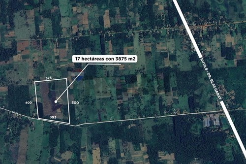En venta terreno de 17 hectáreas con 3875m2 en San Pedro - Yatayty del Norte — foto 3