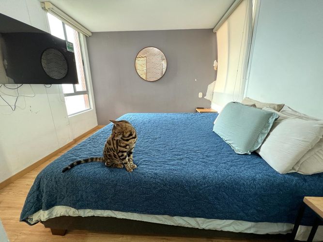 Apartamento de 3 alcobas en arriendo en Loma Del Indio, Medellín, 84 m² · foto 11 de 17