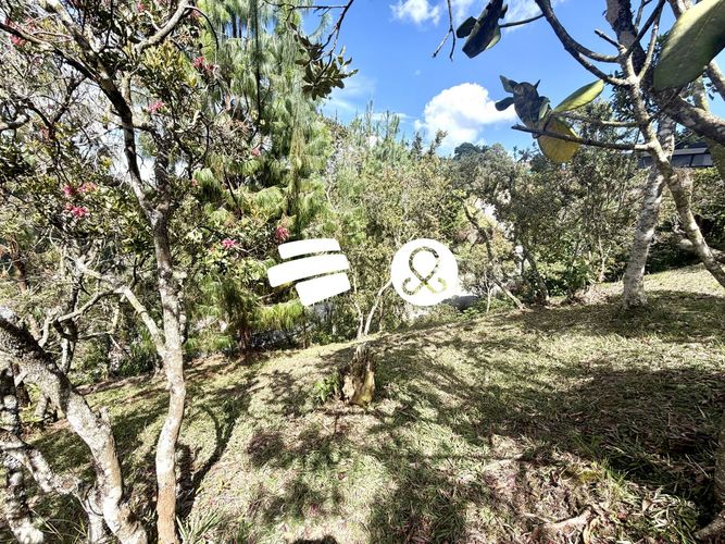Lote en venta en Zona Centro, Envigado, 2400 m² · foto 14 de 18