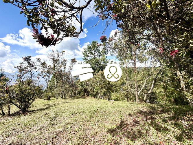 Lote en venta en Zona Centro, Envigado, 2400 m² · foto 15 de 18