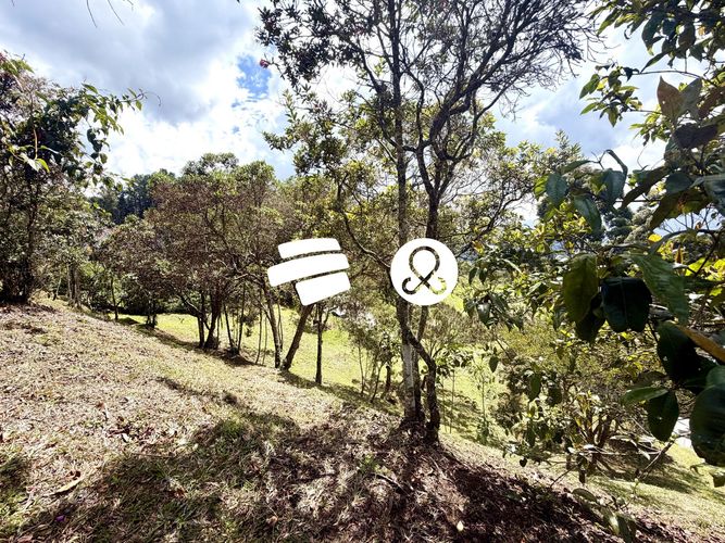 Lote en venta en Zona Centro, Envigado, 2400 m² · foto 16 de 18