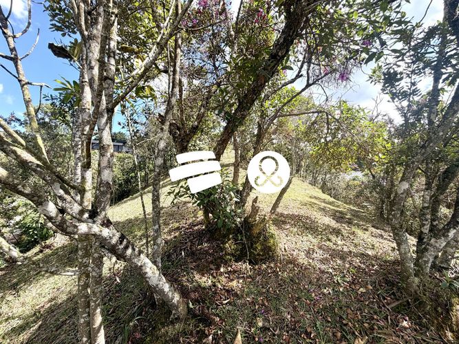 Lote en venta en Zona Centro, Envigado, 2400 m² · foto 17 de 18