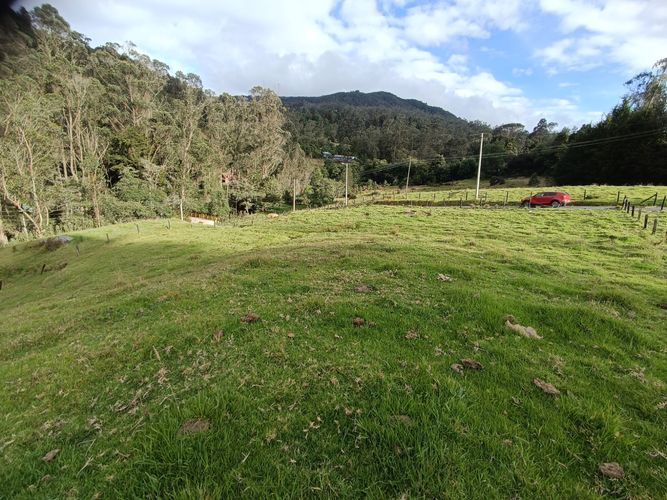 Lote en venta en El Libano, La Calera, 2500 m² · foto 2 de 3