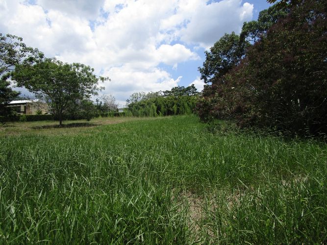 Lote en venta en Pance Bajo, Cali, 6000 m² · foto 4 de 9