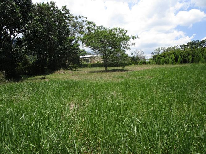 Lote en venta en Pance Bajo, Cali, 6000 m² · foto 5 de 9