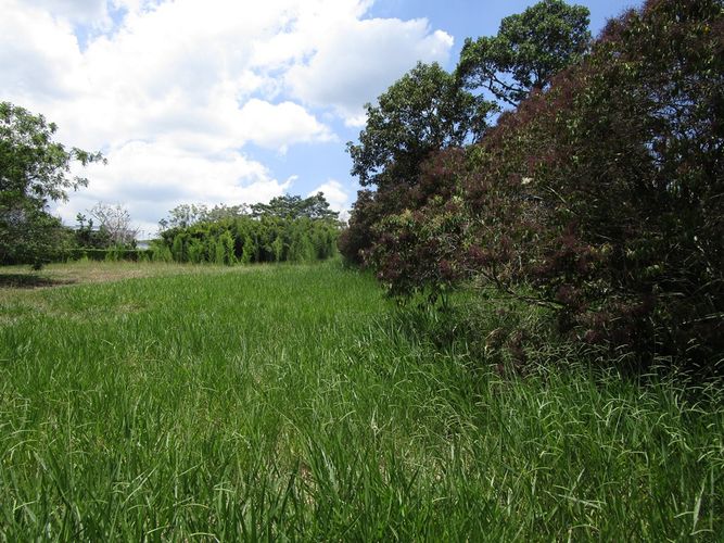 Lote en venta en Pance Bajo, Cali, 6000 m² · foto 6 de 9