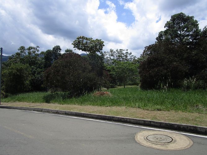 Lote en venta en Pance Bajo, Cali, 6000 m² · foto 8 de 9