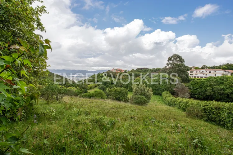 Lote en venta en Sindamanoy, Chía · foto 4 de 4