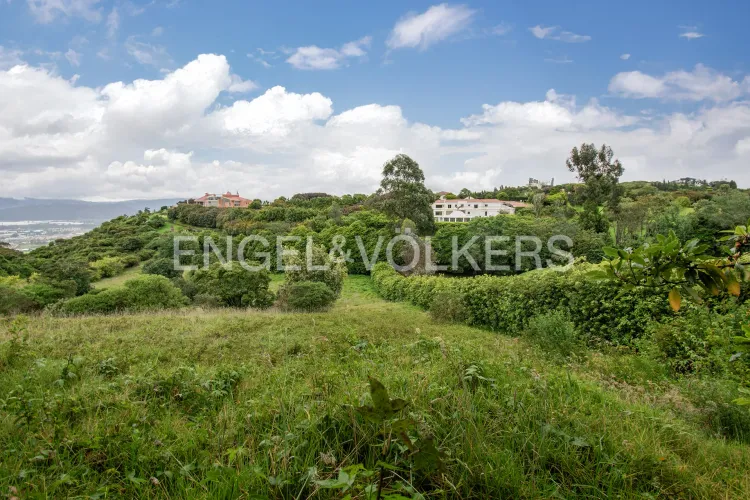 Lote en venta en Sindamanoy, Chía · foto 2 de 4